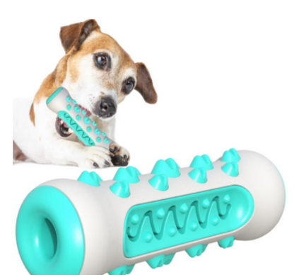 Little Pets™ Chew Toy Molar Toothbrush