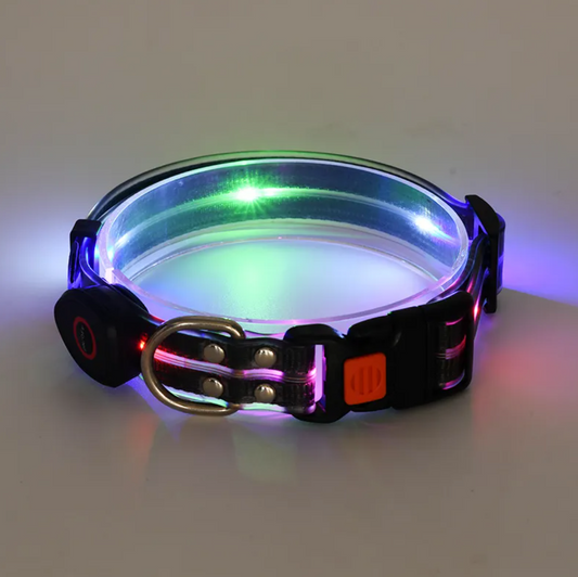 Little Pets™ Glow-Guard Rechargeable LED Collar