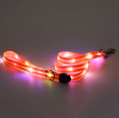 Little Pets™ Glow-Guard Rechargeable LED Collar