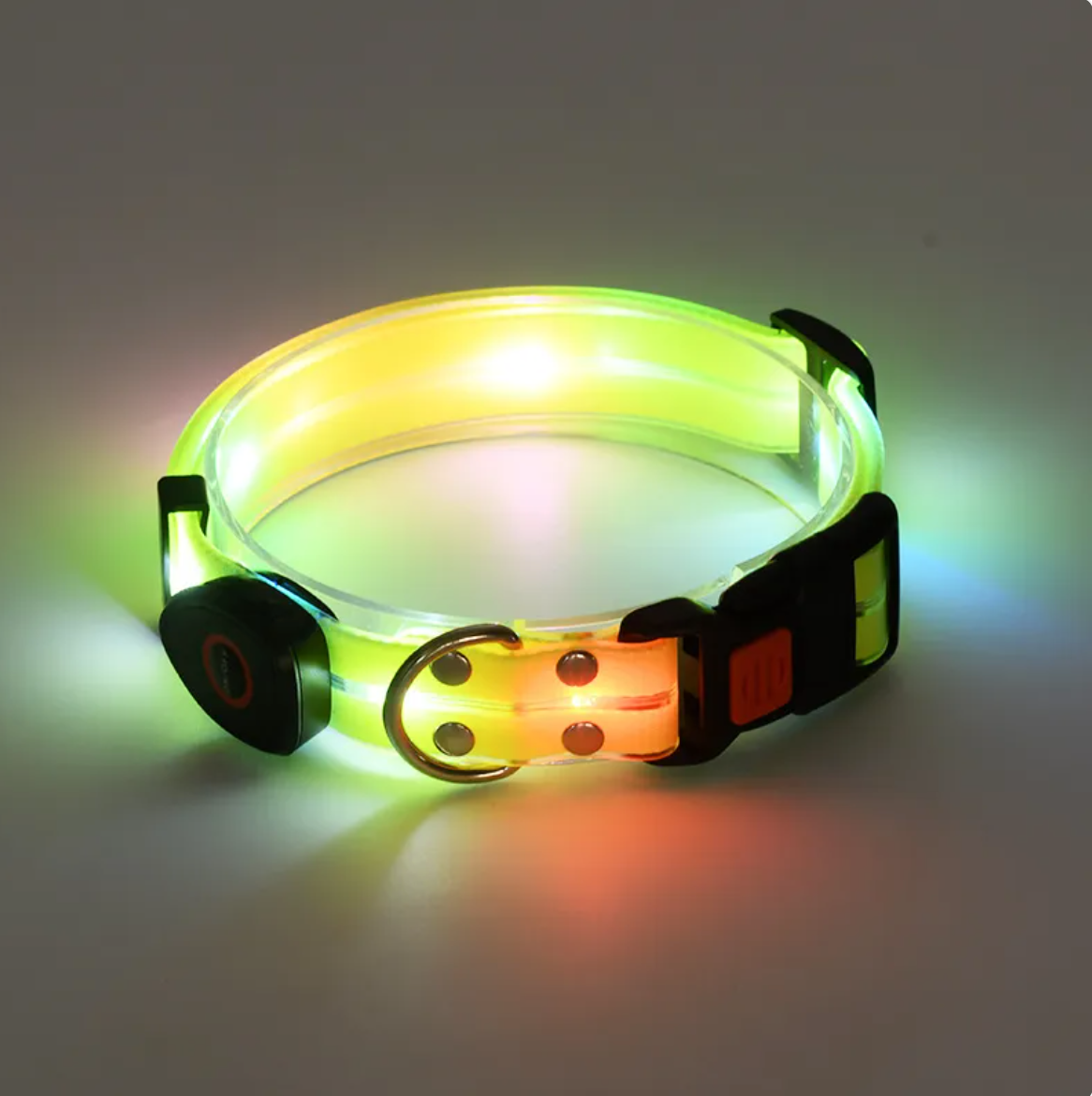 Little Pets™ Glow-Guard Rechargeable LED Collar