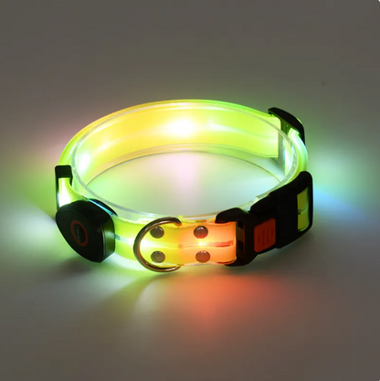 Little Pets™ Glow-Guard Rechargeable LED Collar