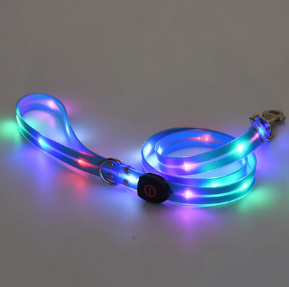 Little Pets™ Glow-Guard Rechargeable LED Collar