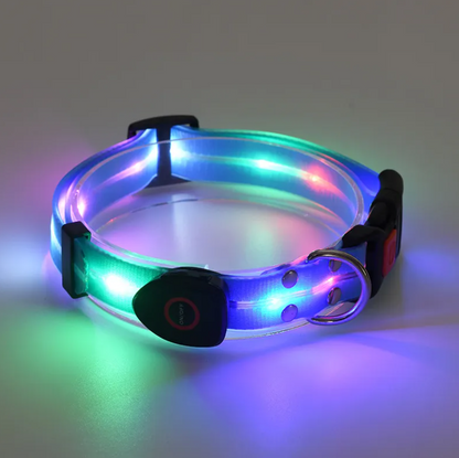 Little Pets™ Glow-Guard Rechargeable LED Collar
