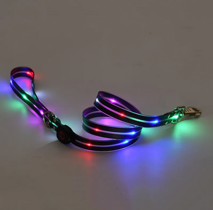 Little Pets™ Glow-Guard Rechargeable LED Collar