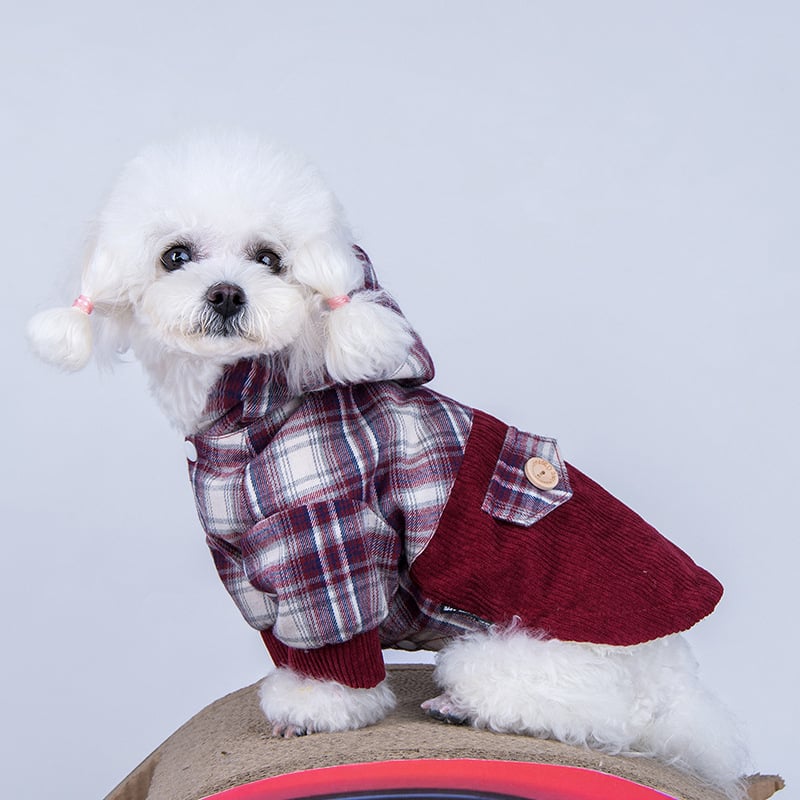 Little Pets™ Luxe Cashmere Pet Hoodie